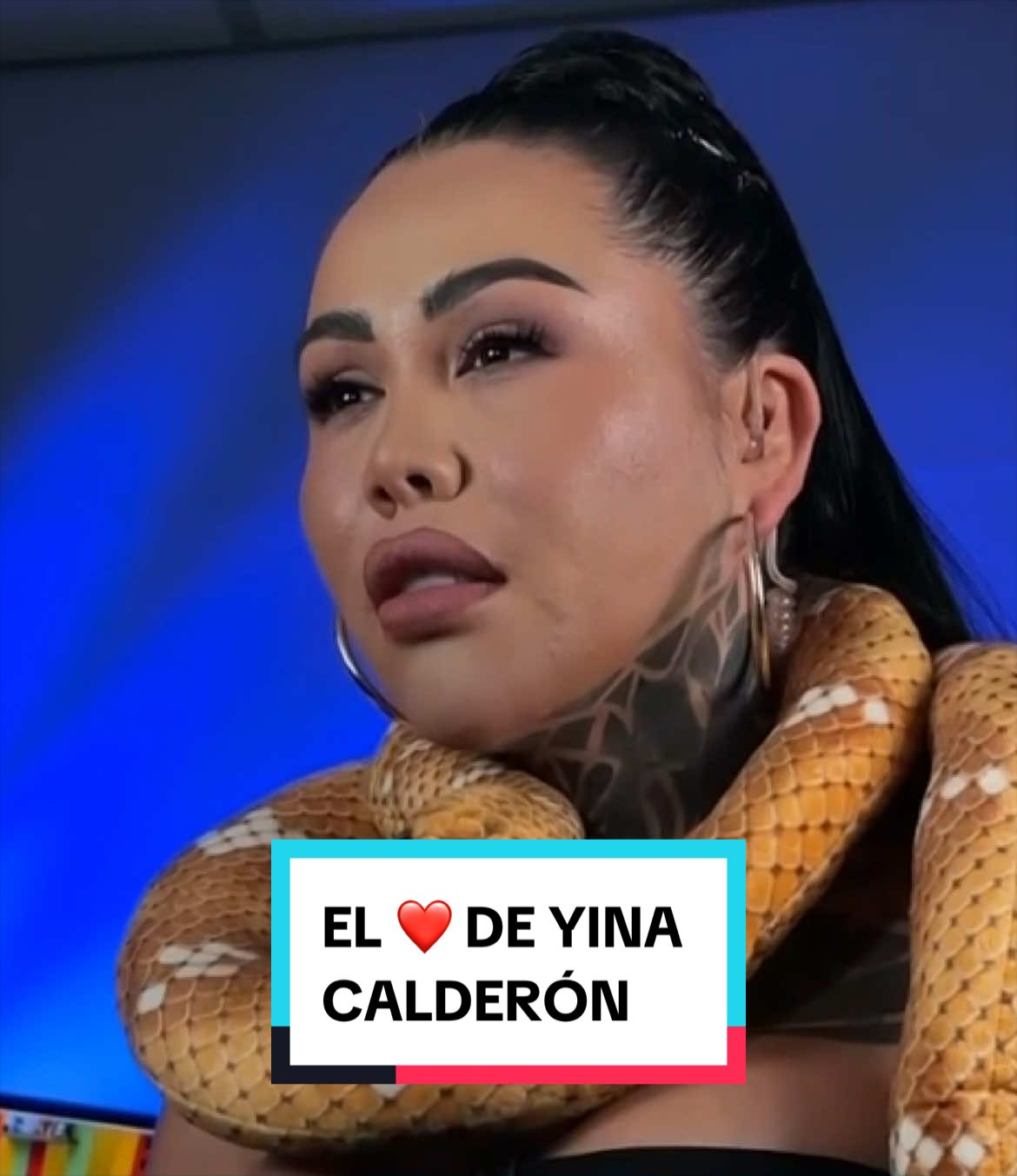 @hoydia