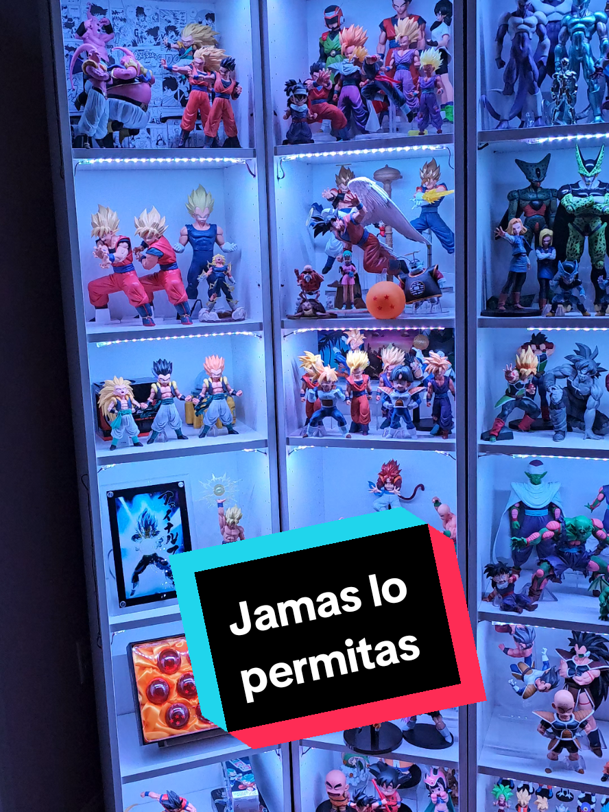 @Aleman's Collection