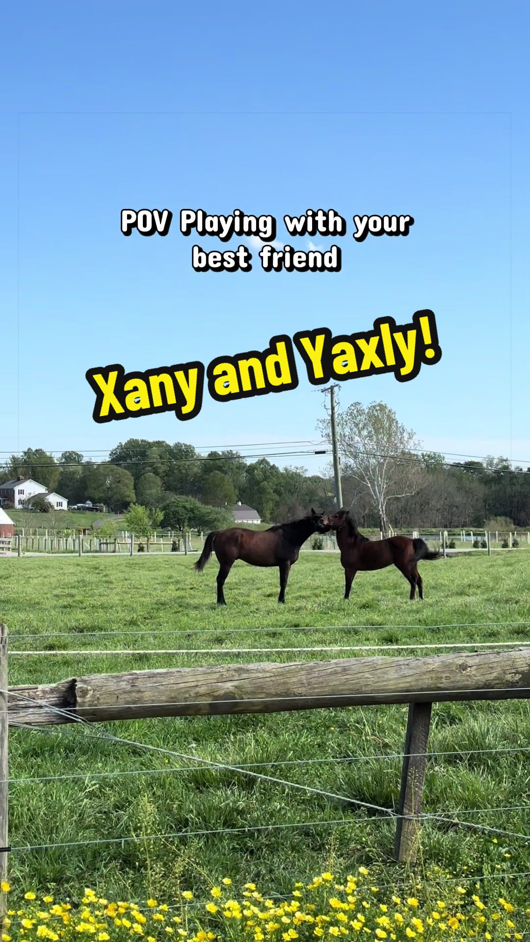 @Days End Farm Horse Rescue