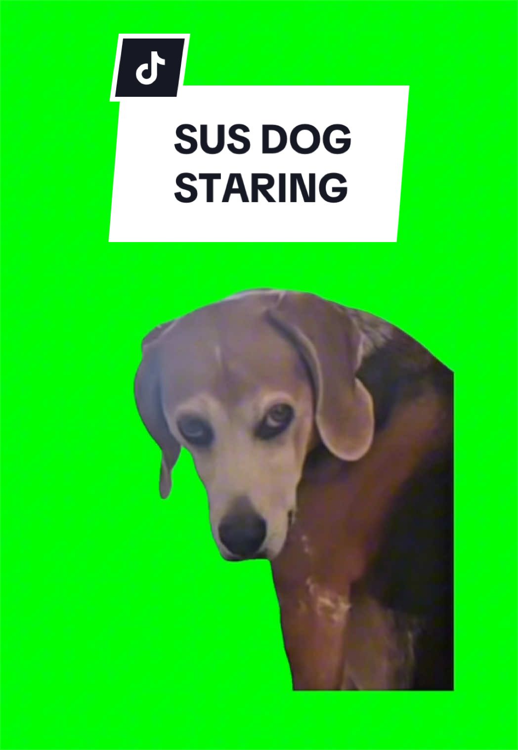 @SILLYBALOO
