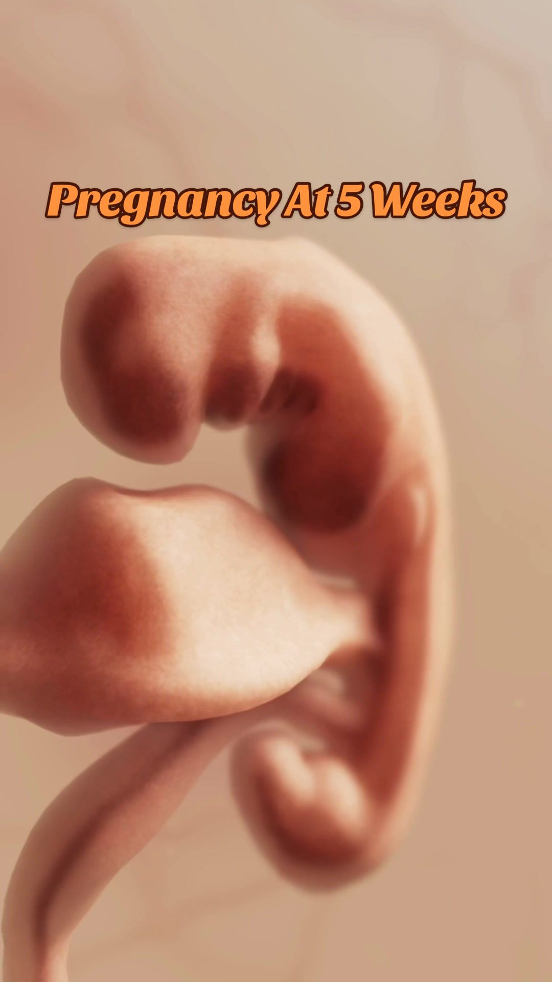 @Angie &bull;|&bull; Mom &bull;|&bull; Surrogate