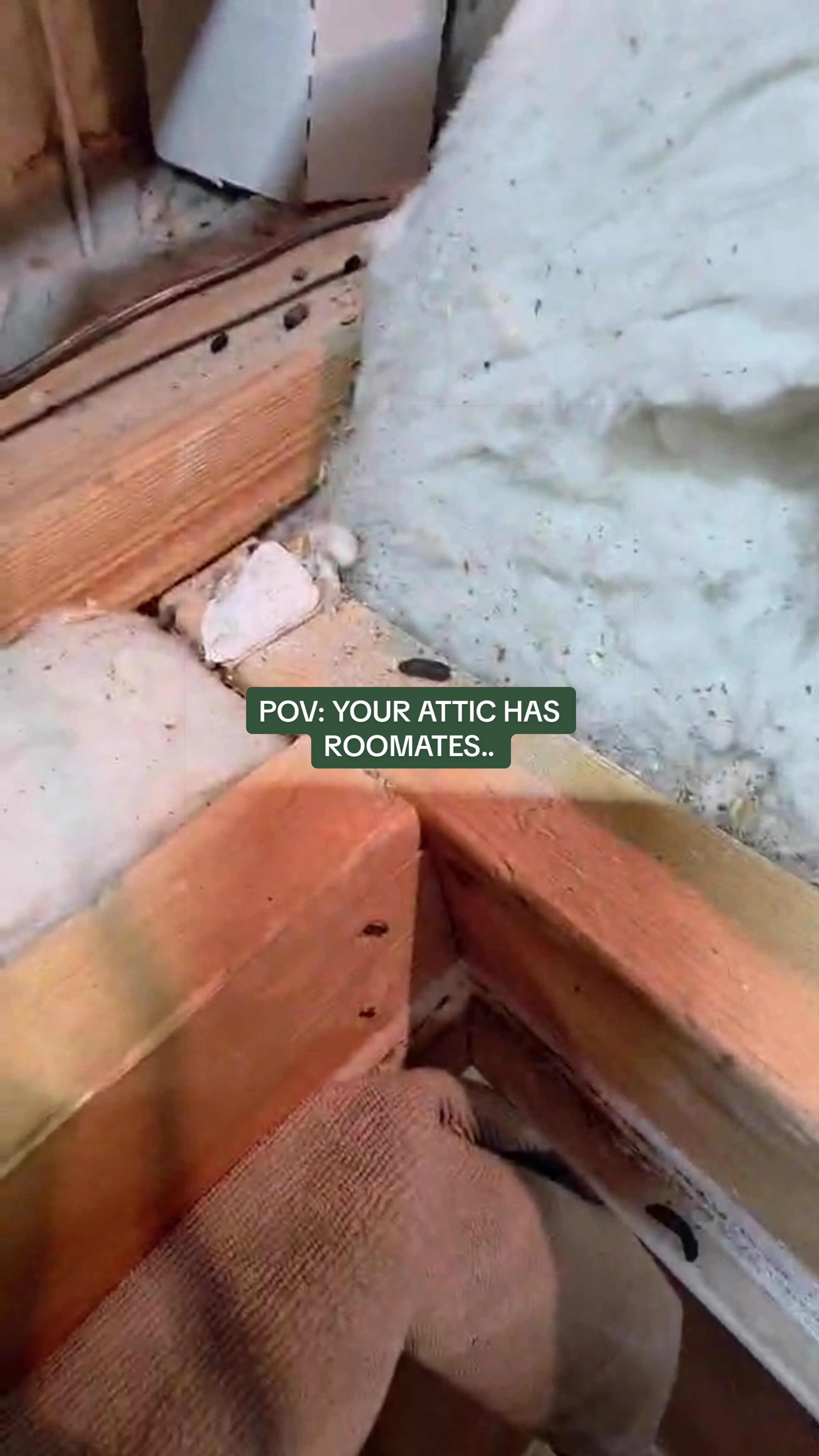 @Eagle Eye Home Inspections