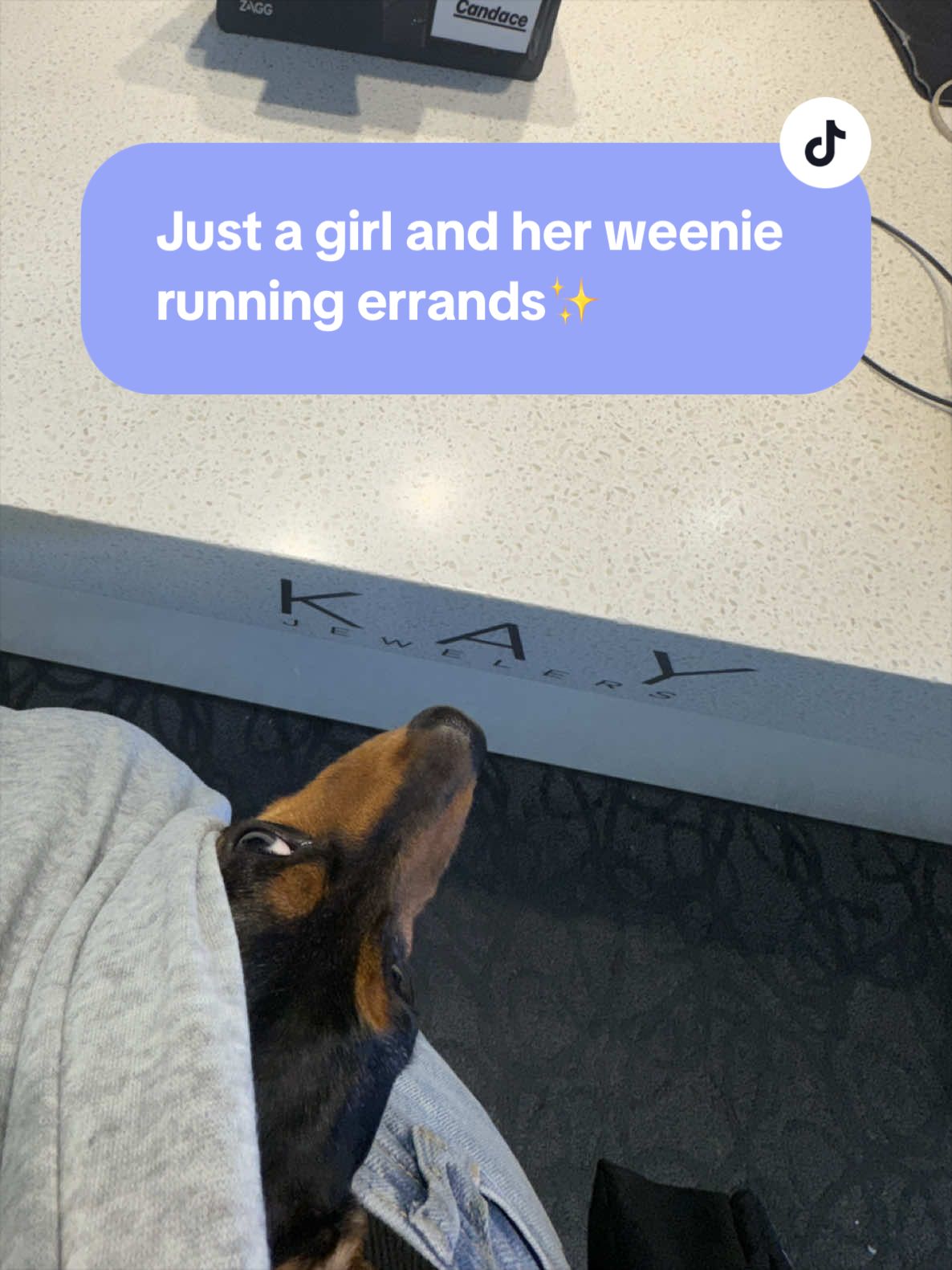 @theeweeniecrew