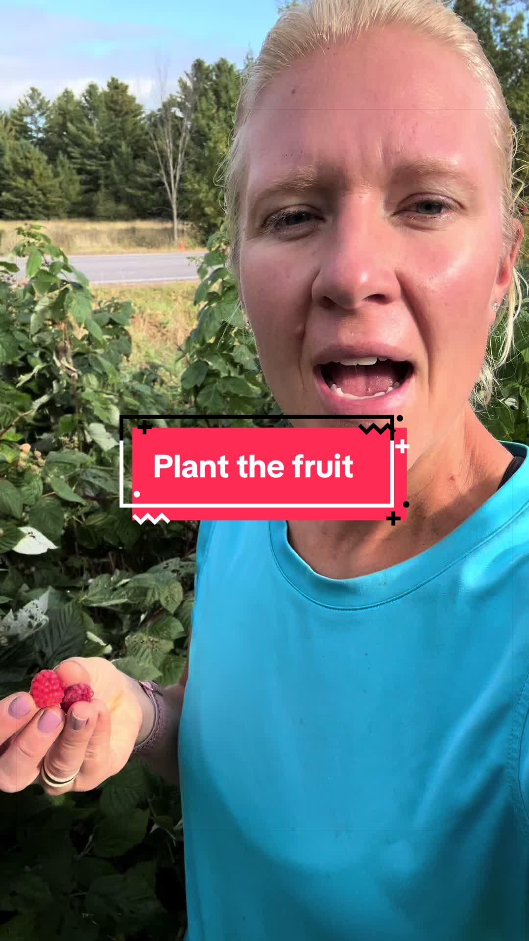 @littlesandycreekfarm