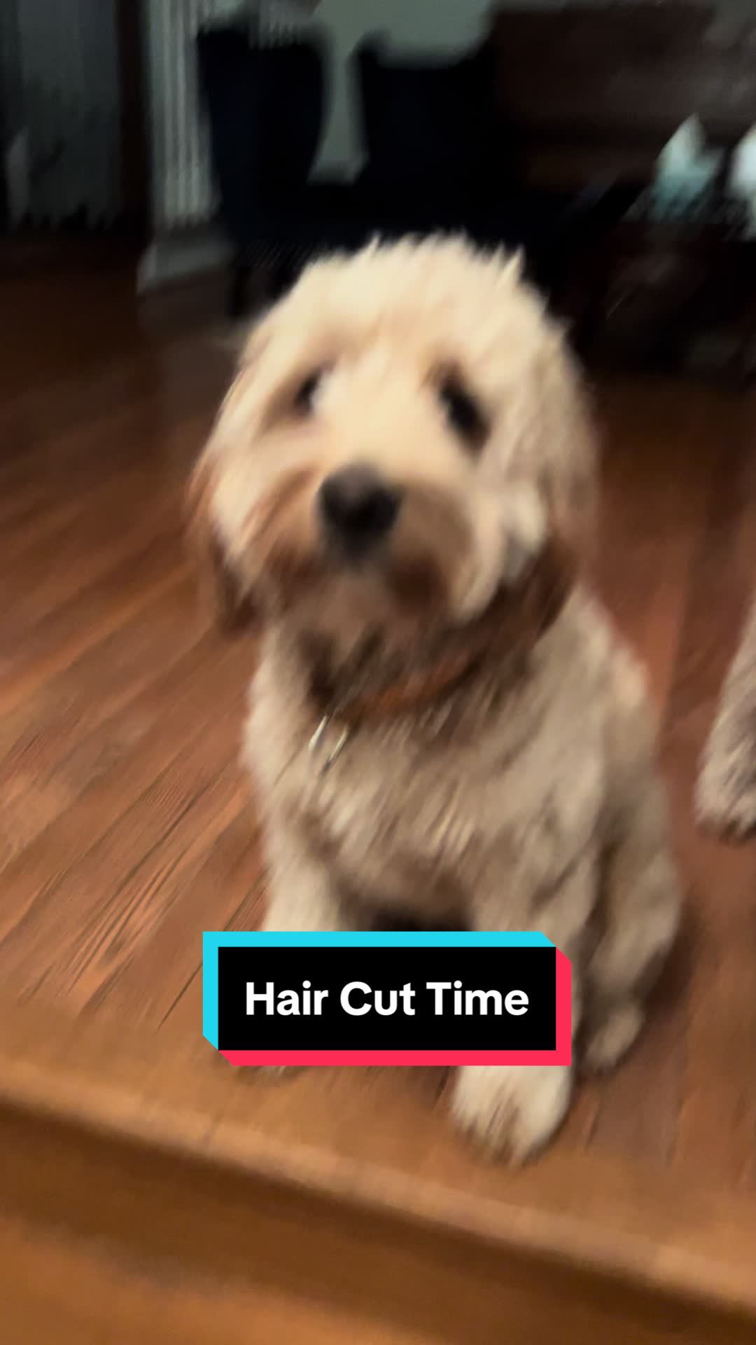 @Nood the Dood
