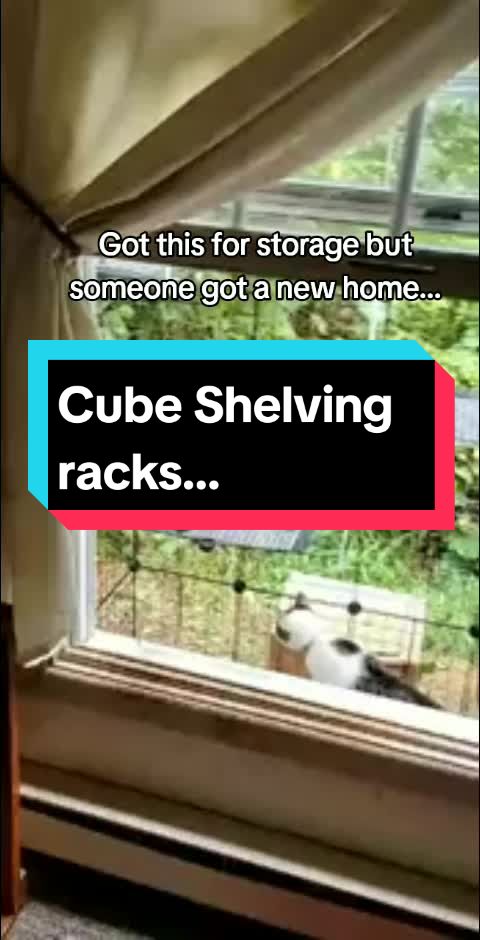 @Wolfpacktrade