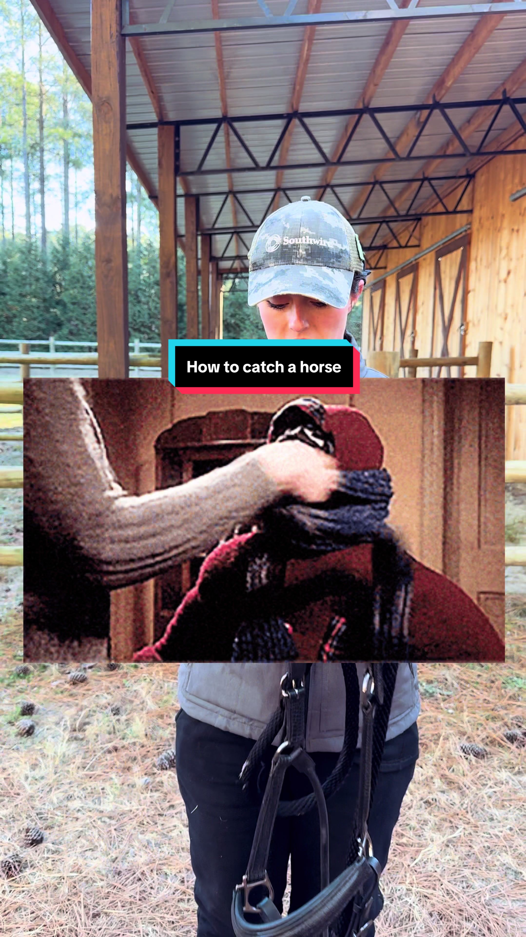 @TheSouthernHorsegirl