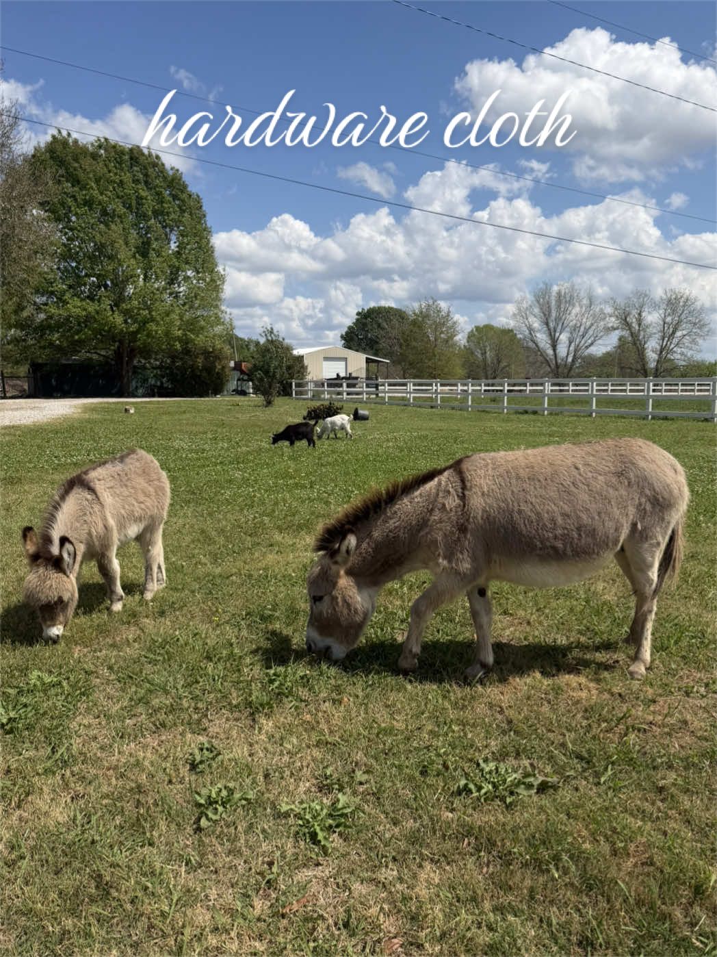 @meg’s mini farm