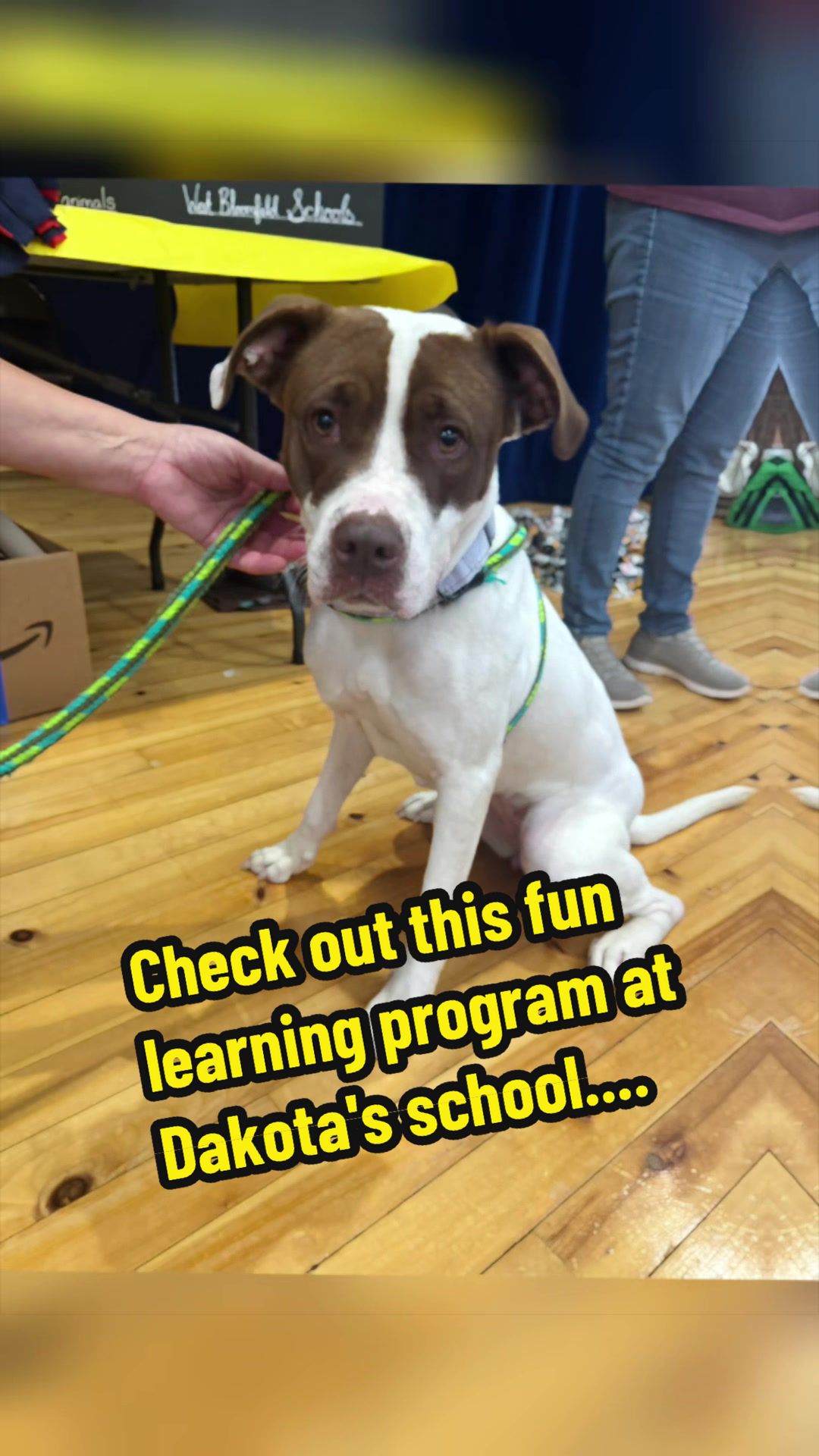@Rescue Dog Army