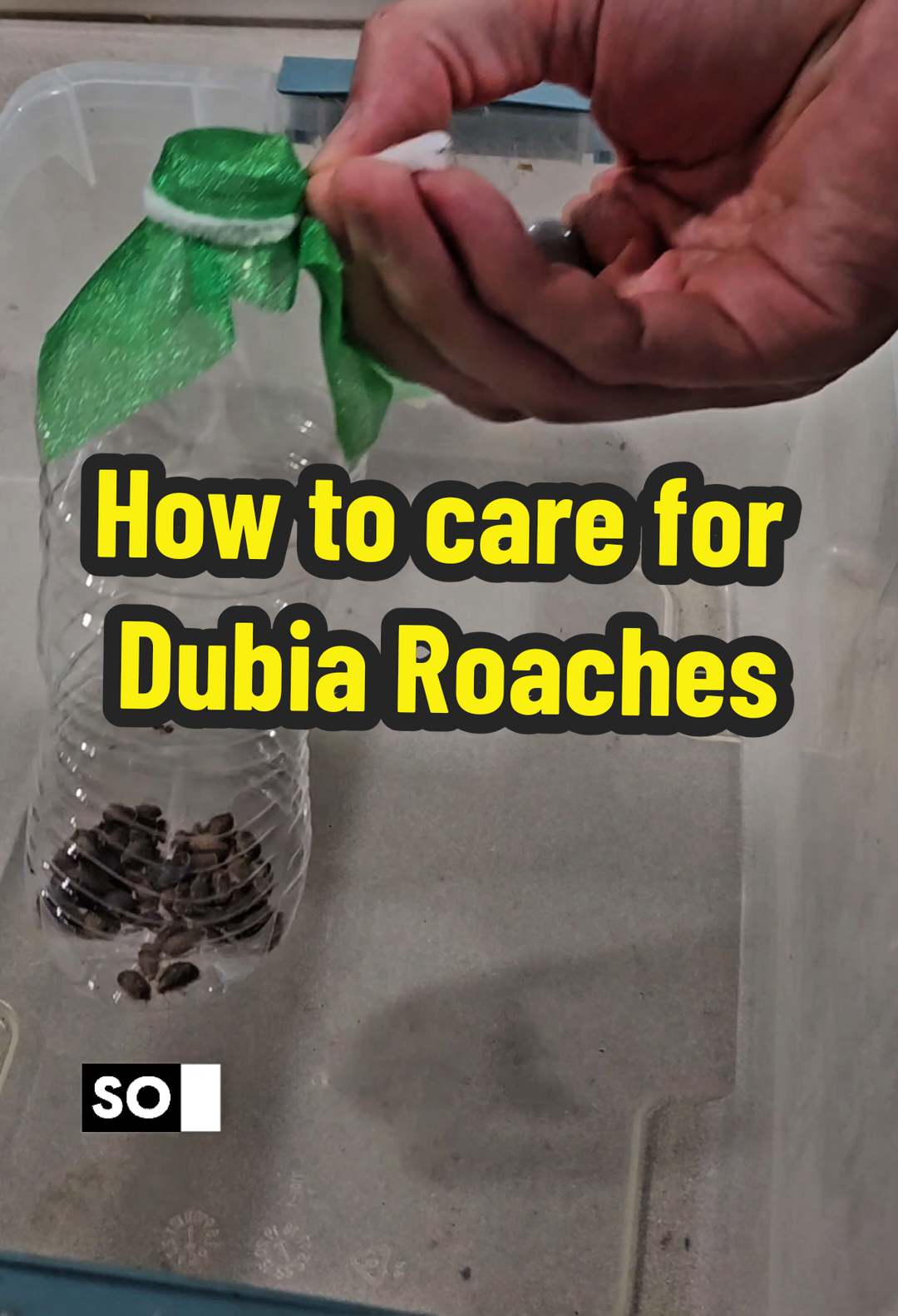 @Dubia Dude