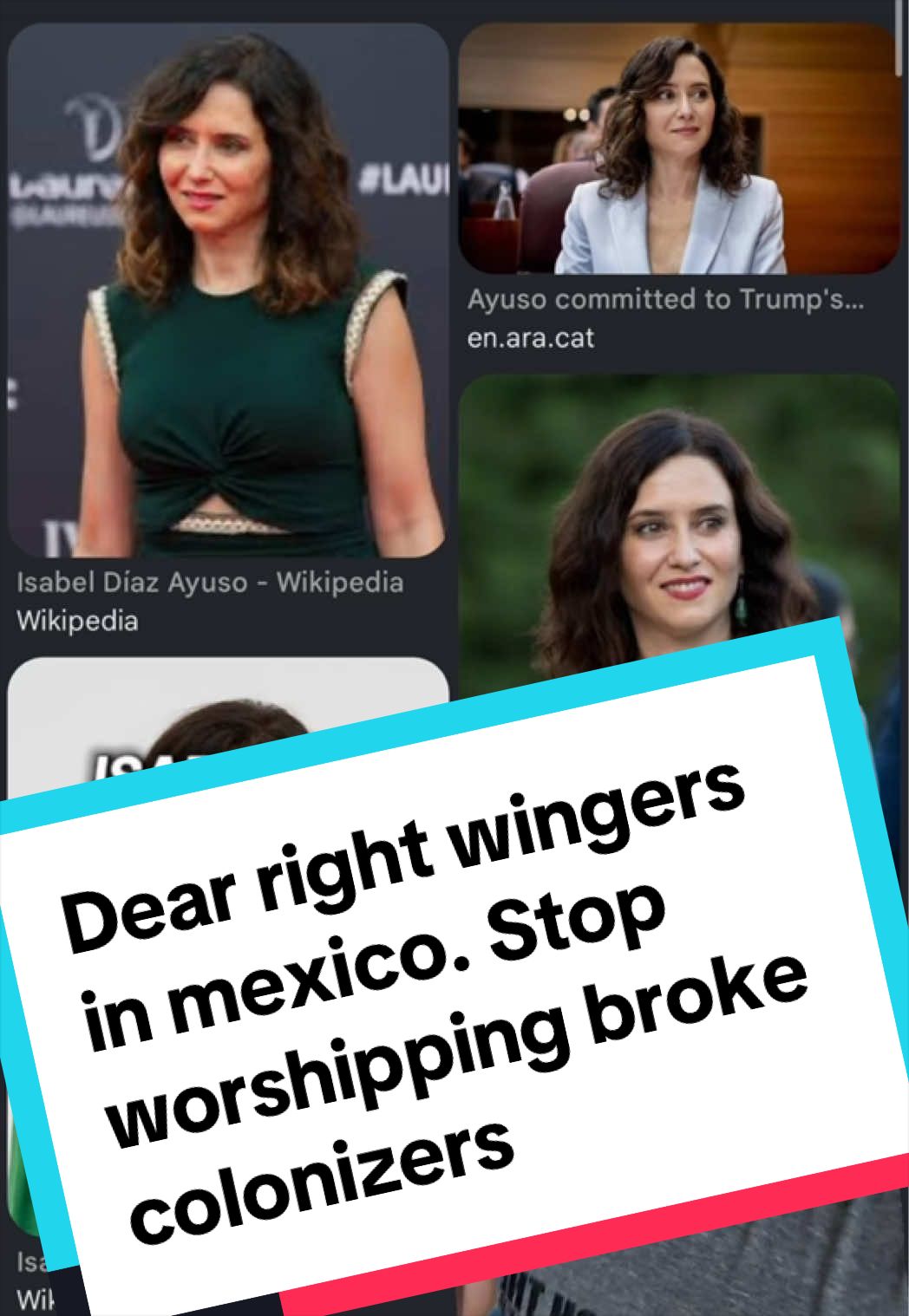 @politicalnuisance