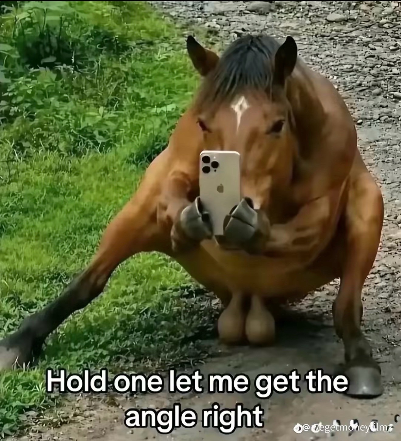 @sal