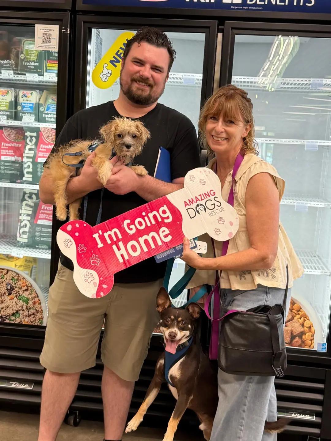 @Amazing Dogs Rescue