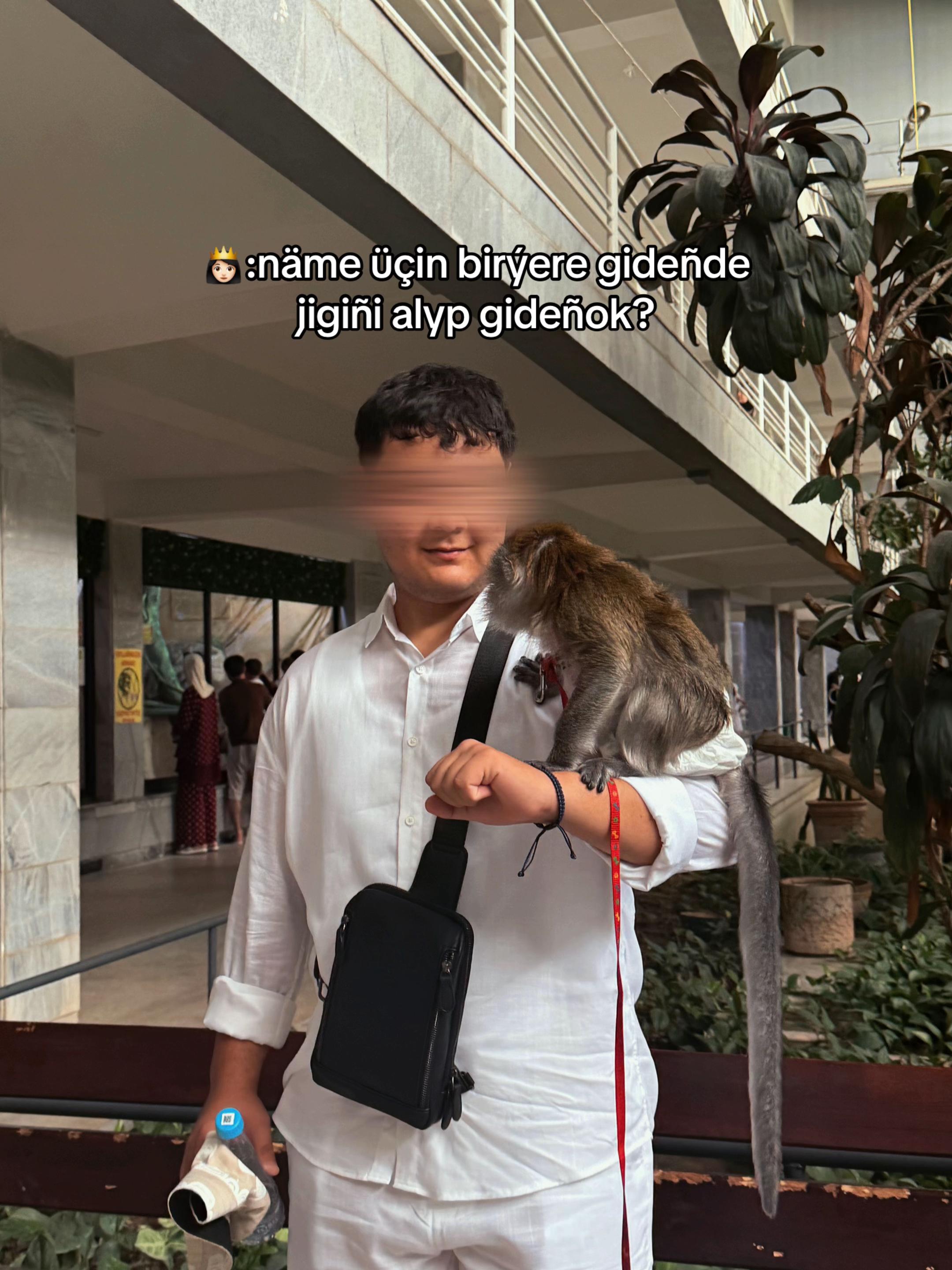 @Muhammet_hajy🦍🕋