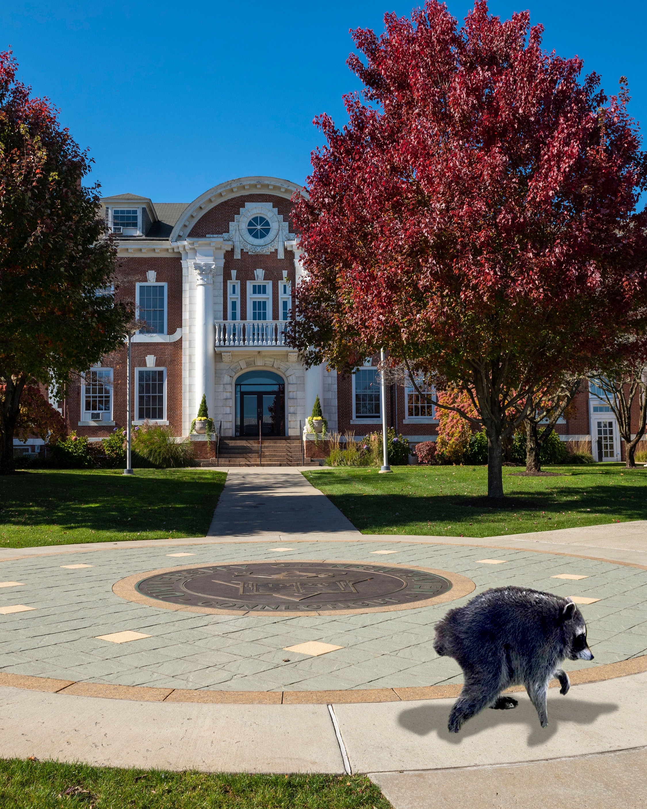 @University of New Haven