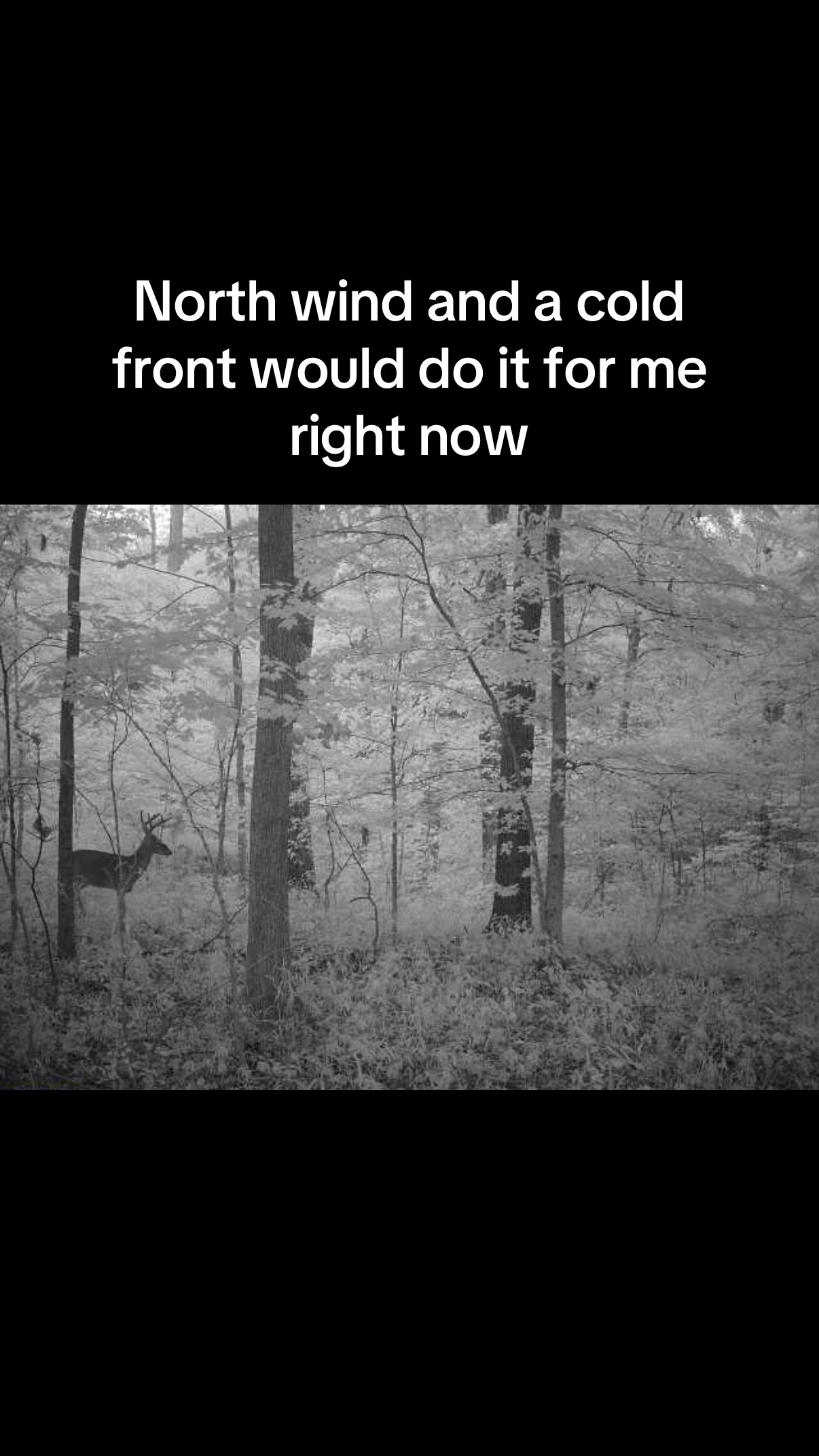 @Going for broke outdoors