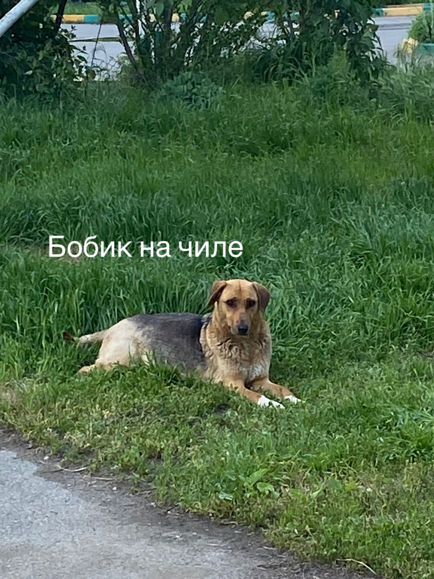 @Sssgg