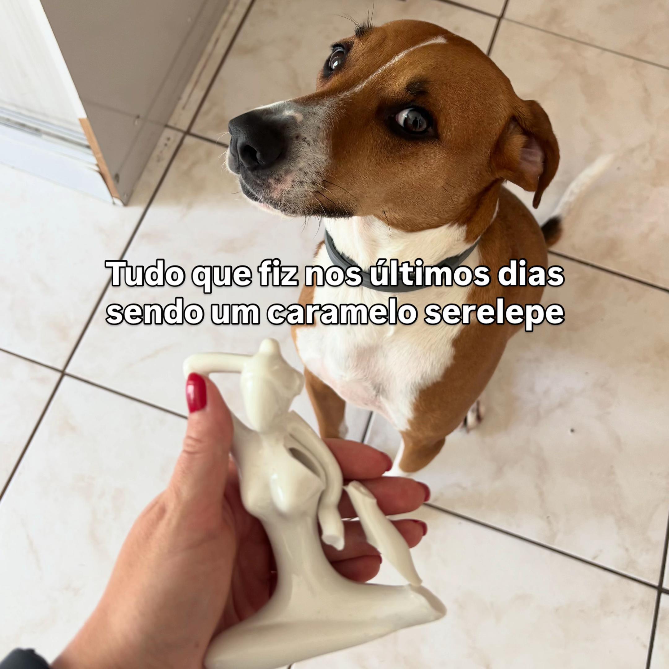 @Pacoserelepe