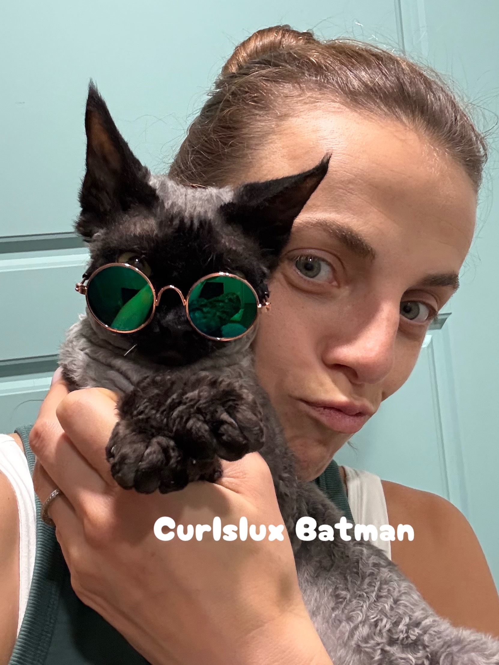 @Curlslux cattery!!🇺🇸