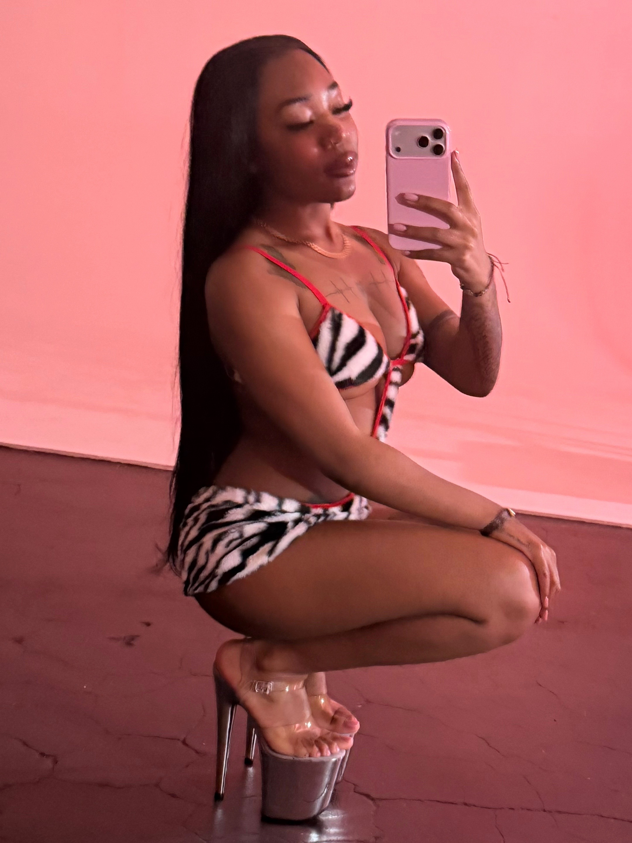 @PrettyTrapz 🦊
