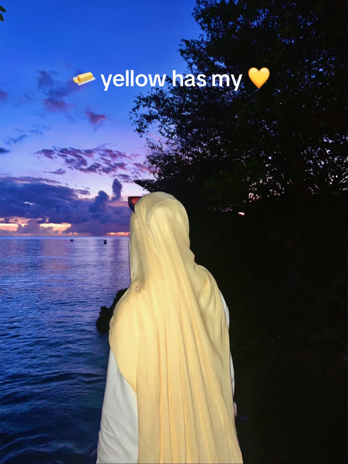 @Aseel