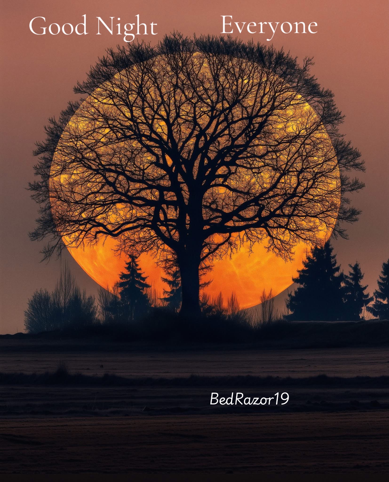 @BedRazor19