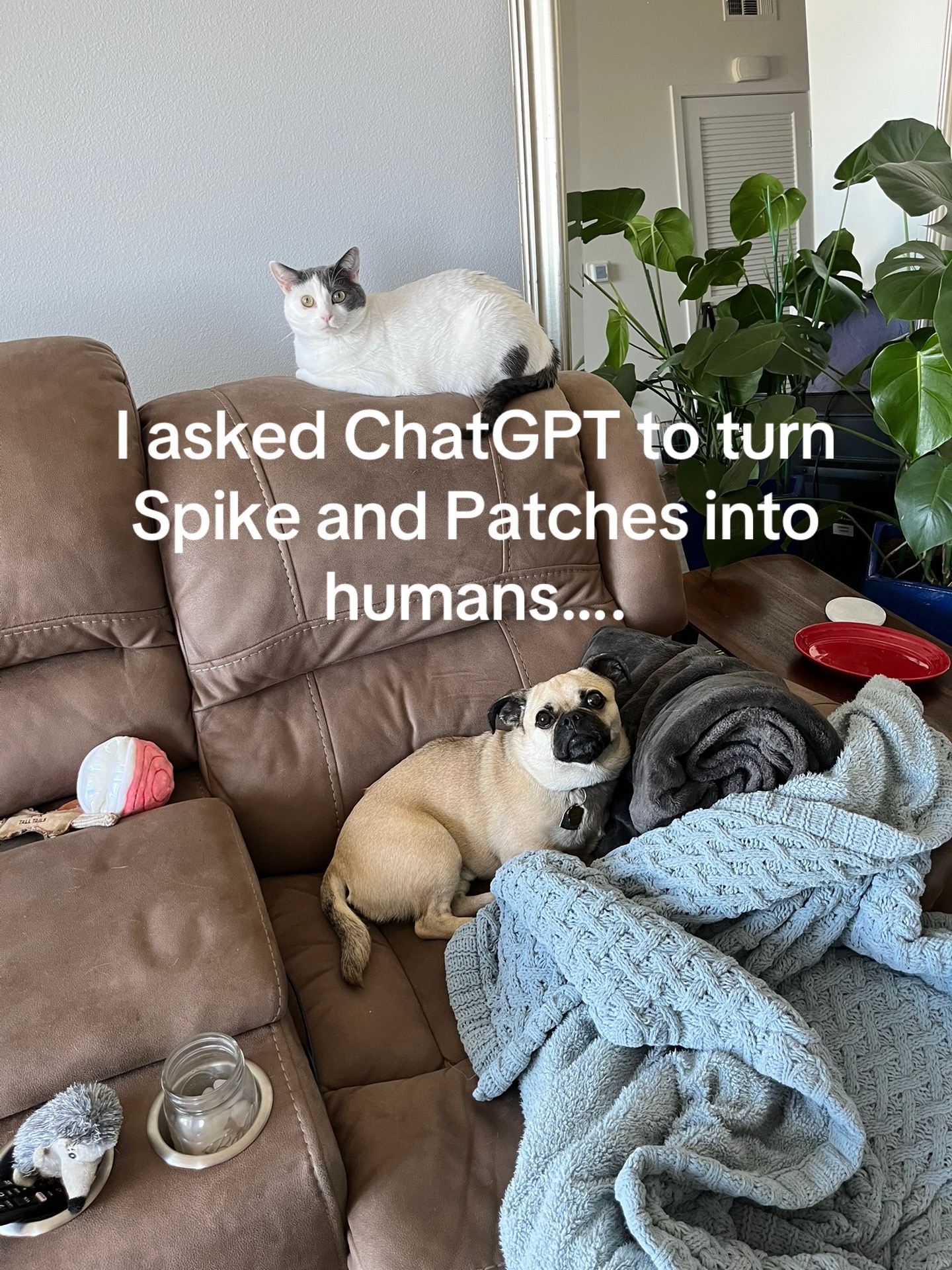 @patchesdapsychopatch