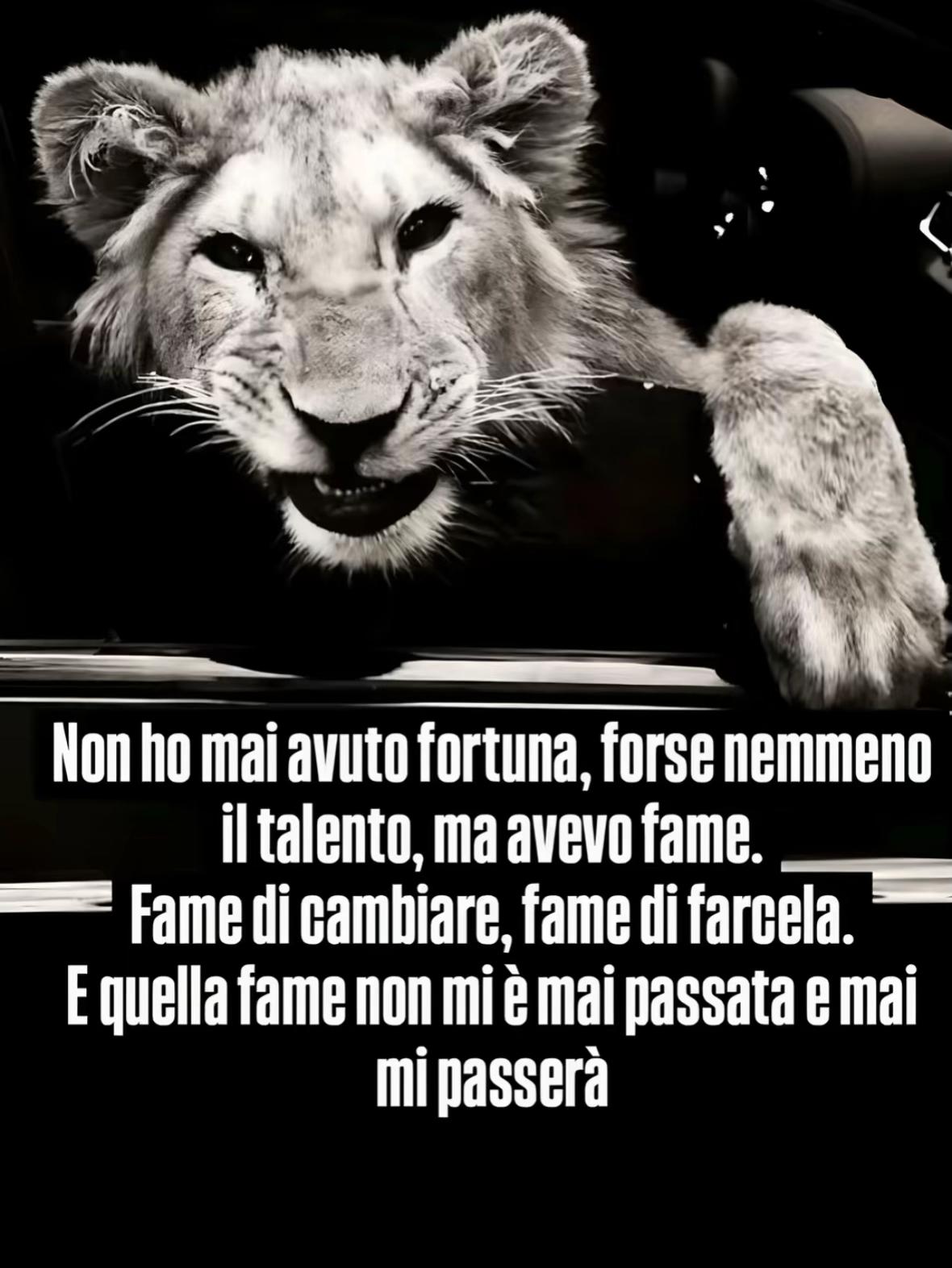 @Sconosciuto_11