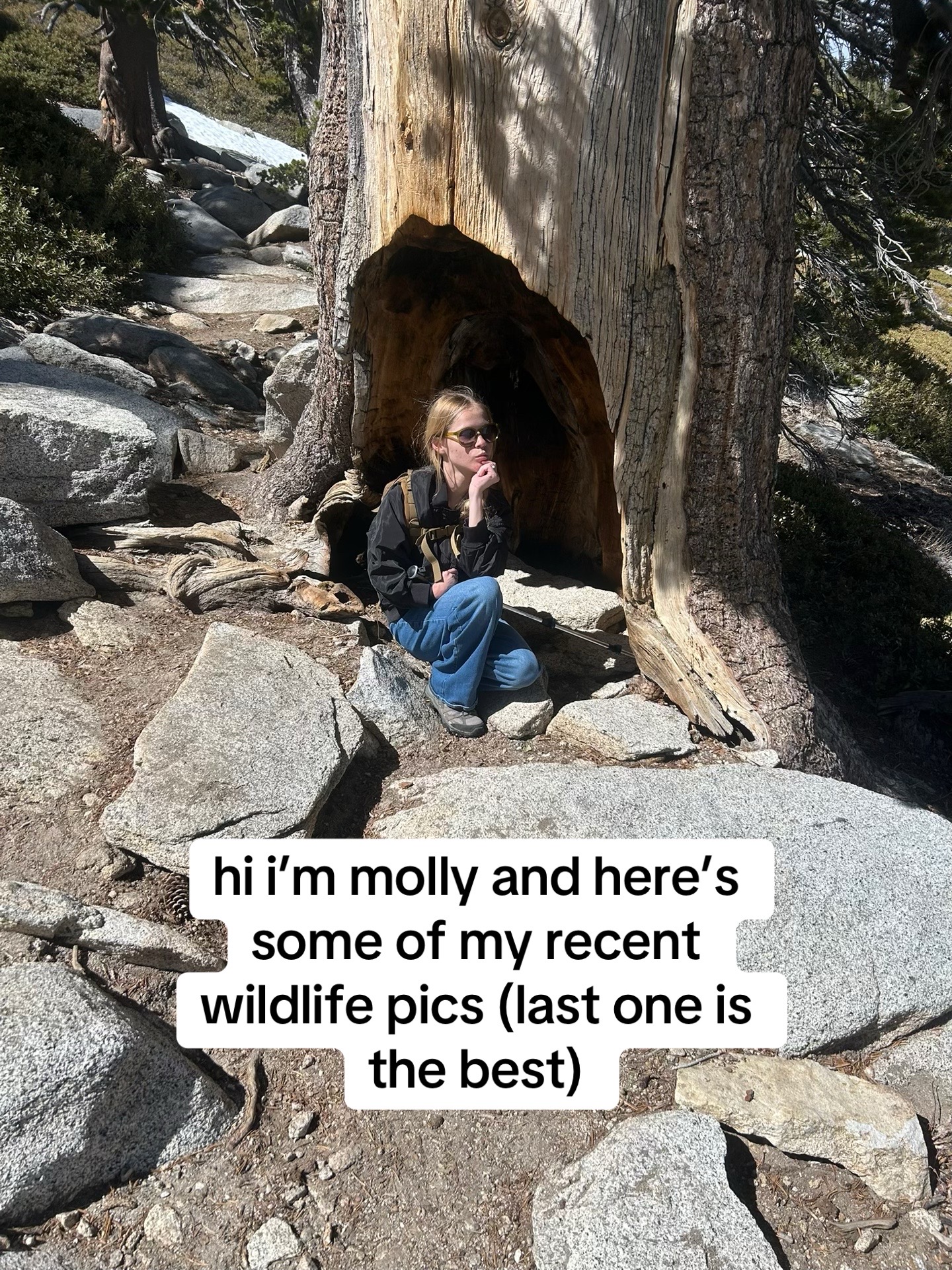 @mollyscameraroll731