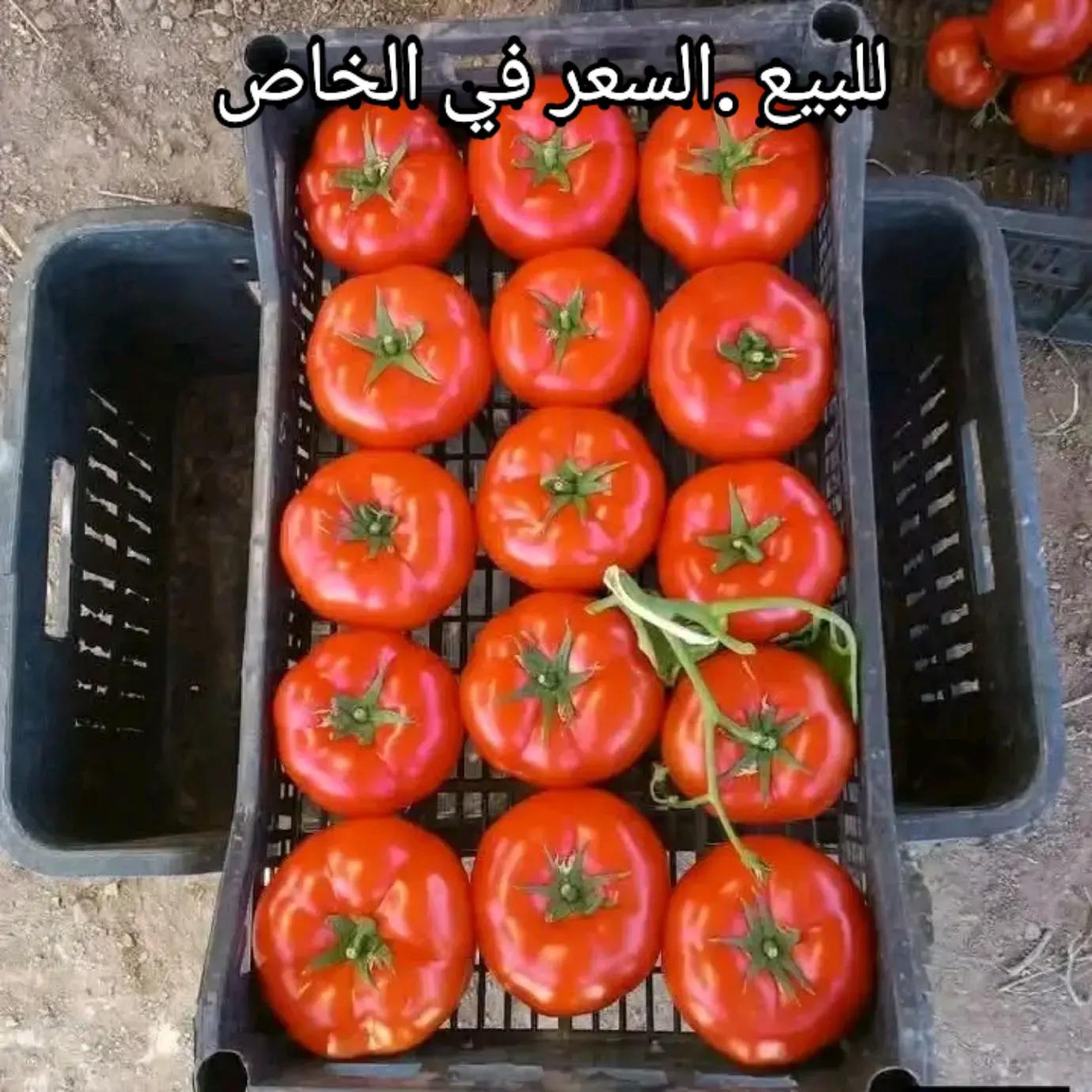 @Kamal Herram