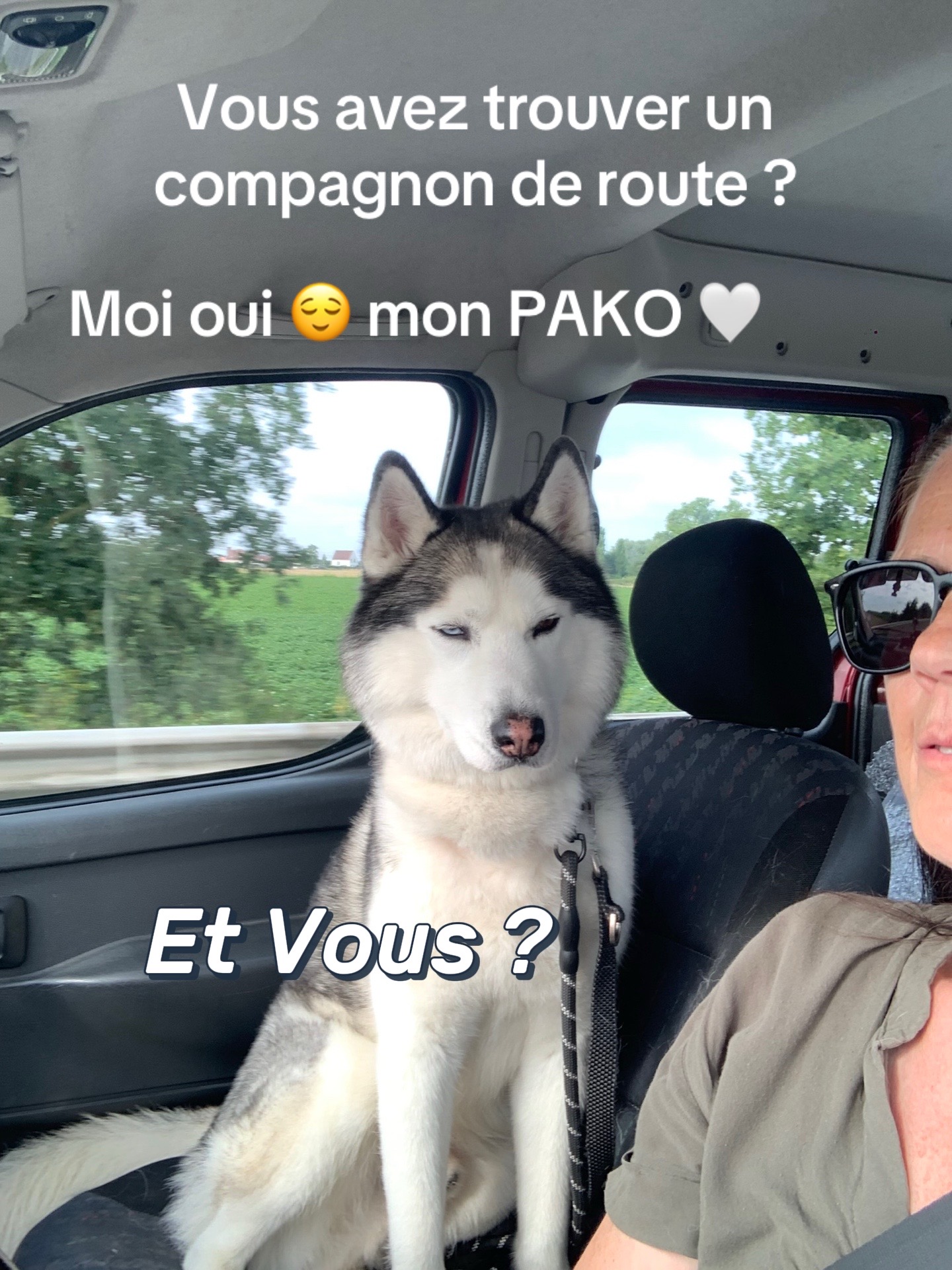 @🐺 PAKO Husky Sibérien
