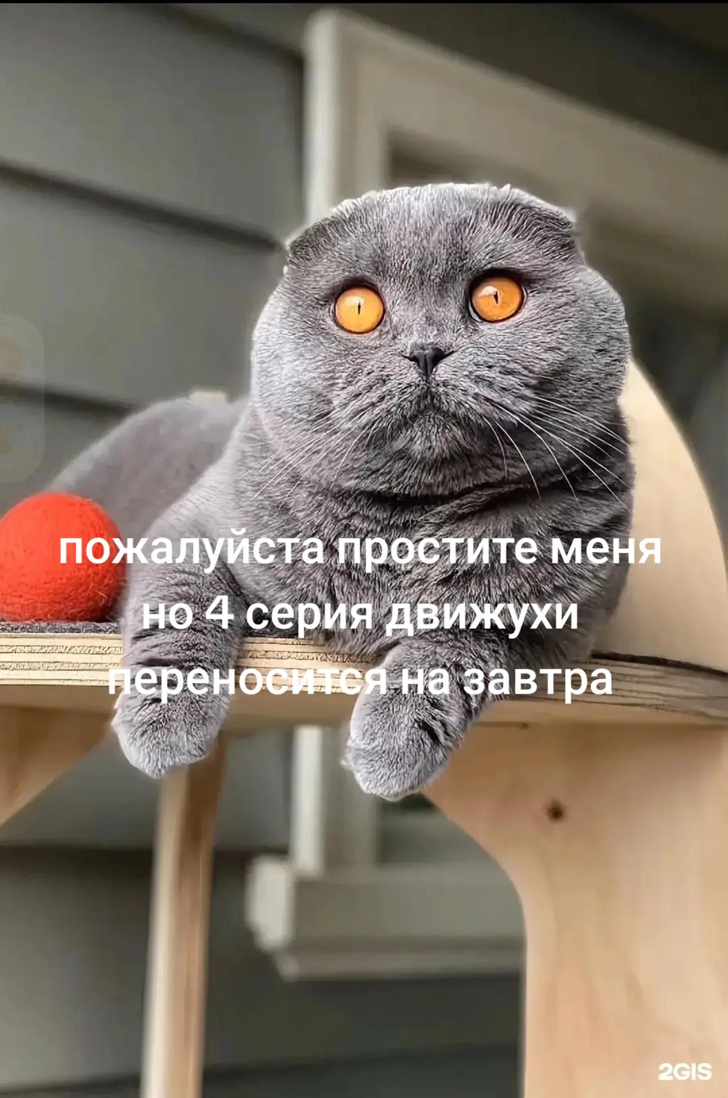 @🥚Данькин Доллар💵
