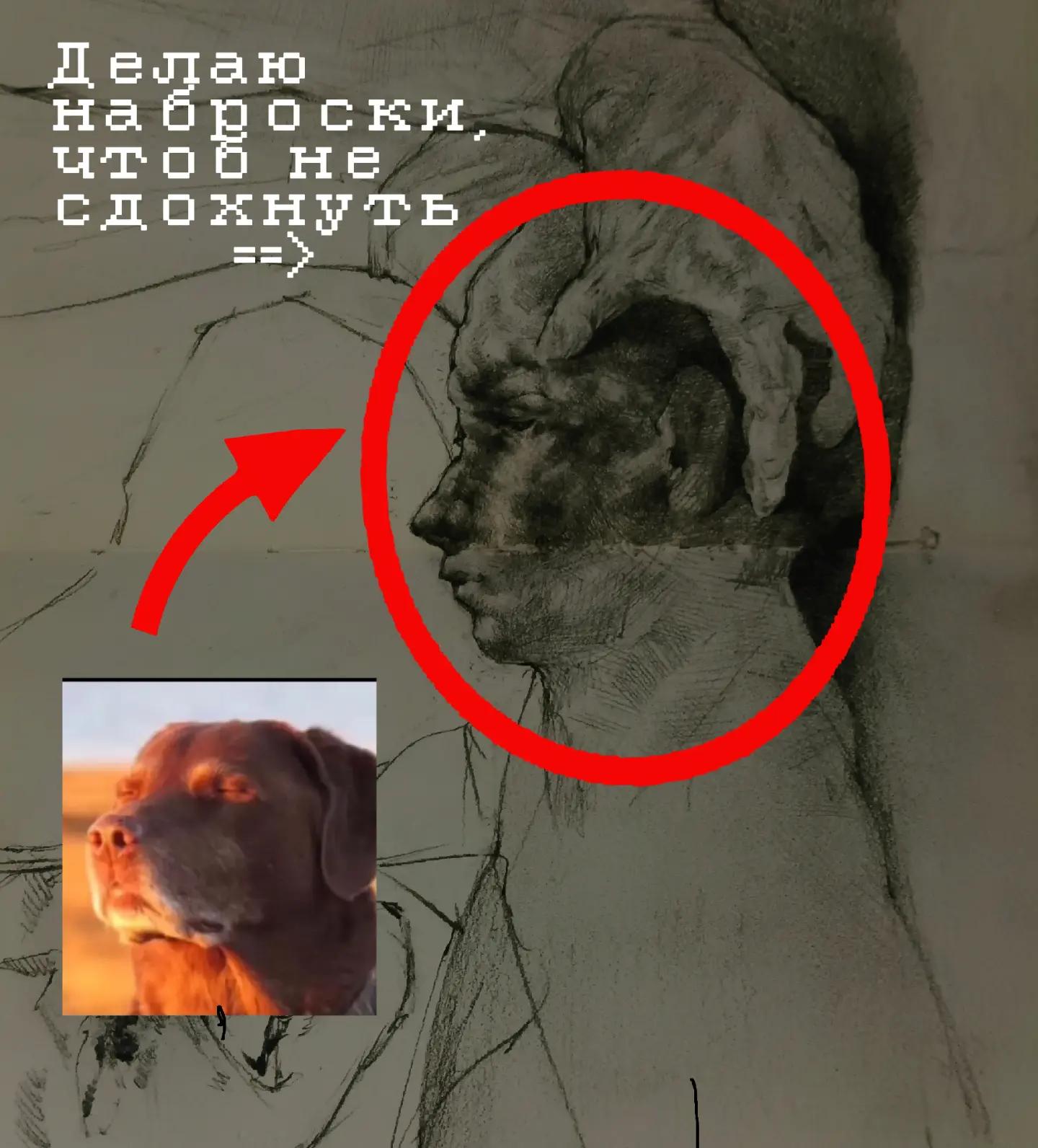 @Каси