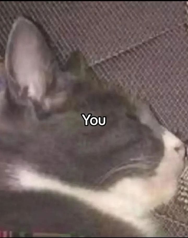 @𝒜𝒾𝒶𝓇𝓊ꨄ