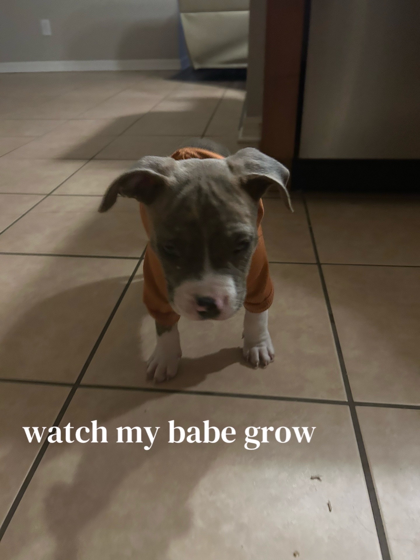 @julianna