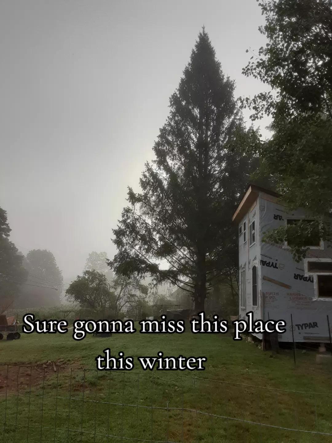 @Carolina Rambler