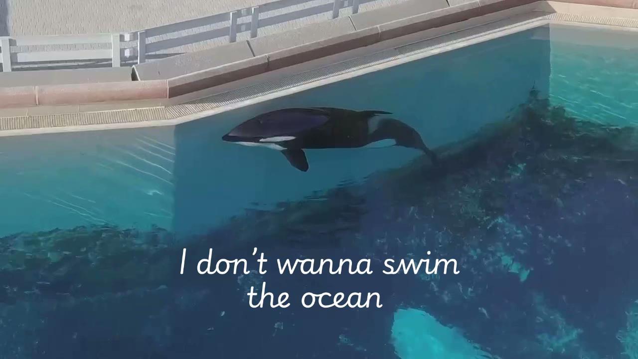 @_dontforgetorca_