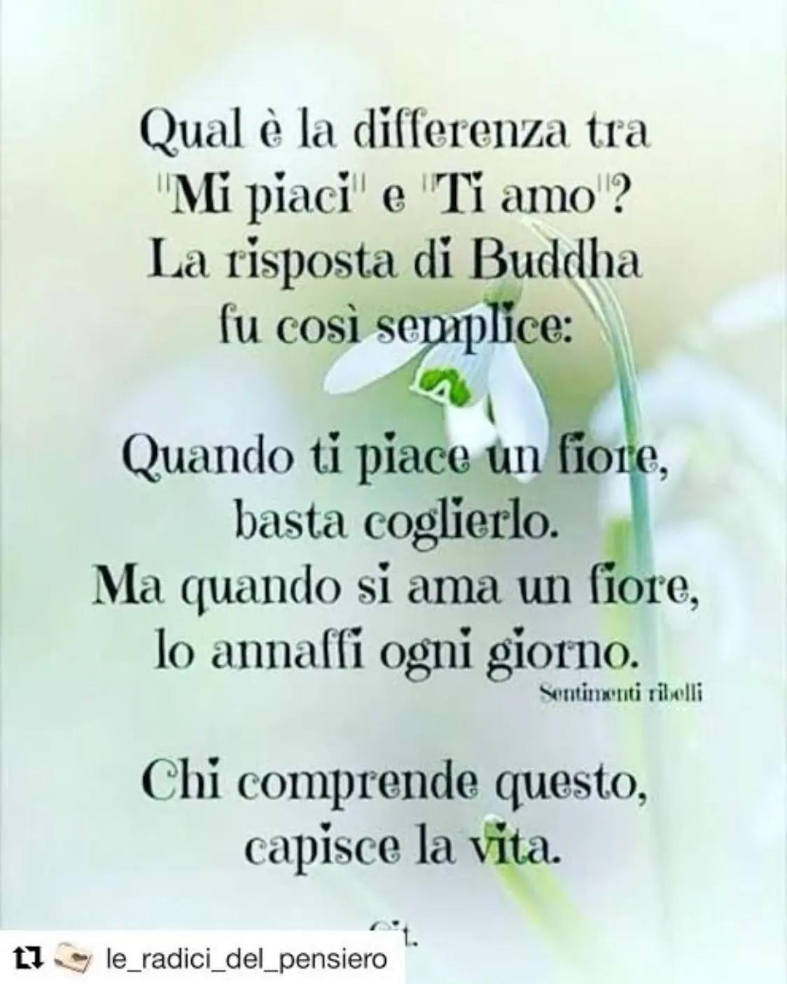 @Ninoilcamionistasiciliano🚛