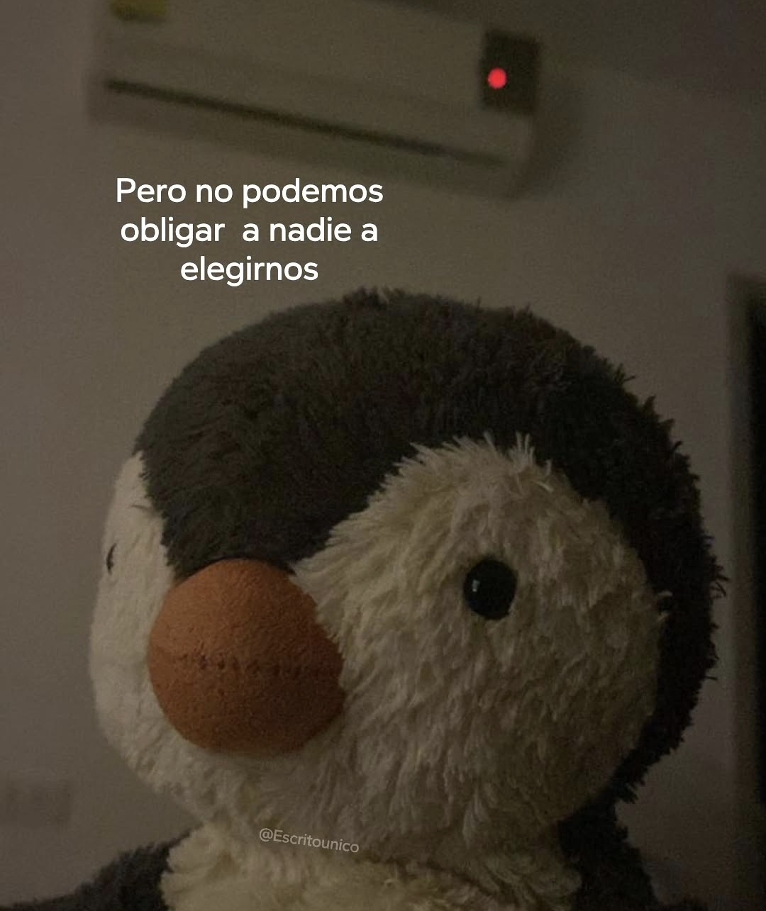 @mayra112