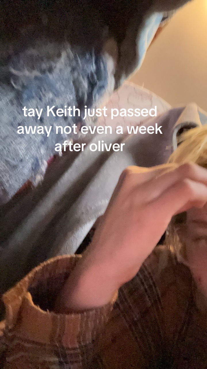@ppPants