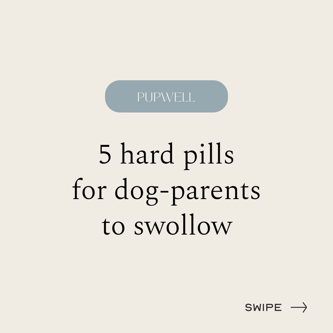 @Pupwell