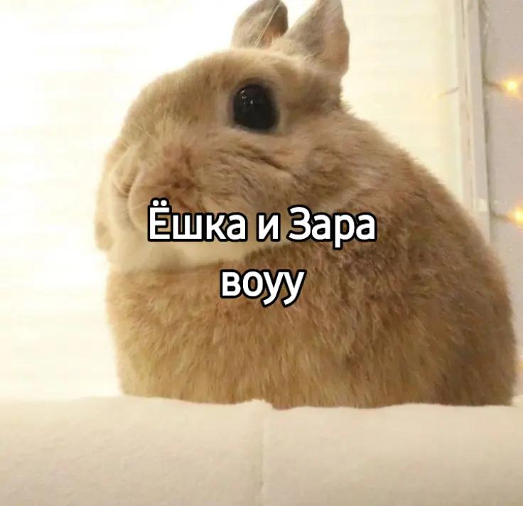 @чокопао 🍅