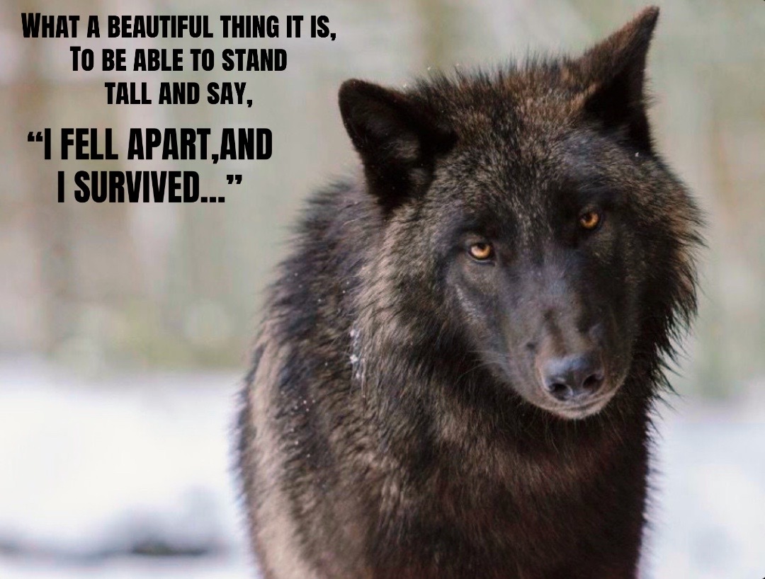 @🪬Conscious_LoneWolf🐺