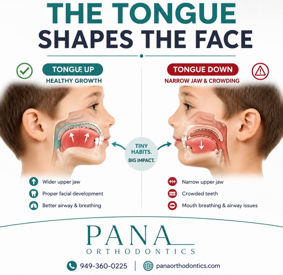 @panaorthodontics