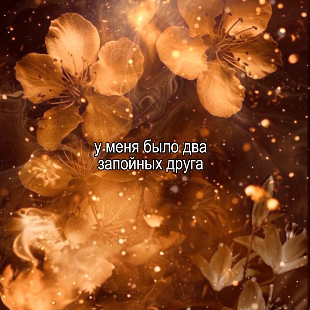 @сияние лапы⁴⁰⁴☮