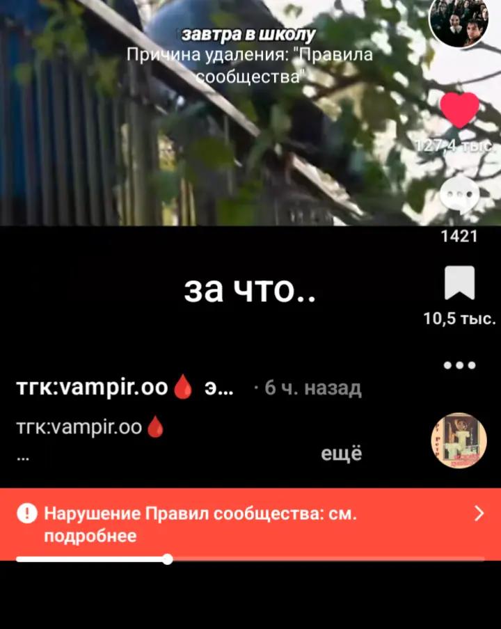 @тгк:vampir.oo🩸 экстрасенсы