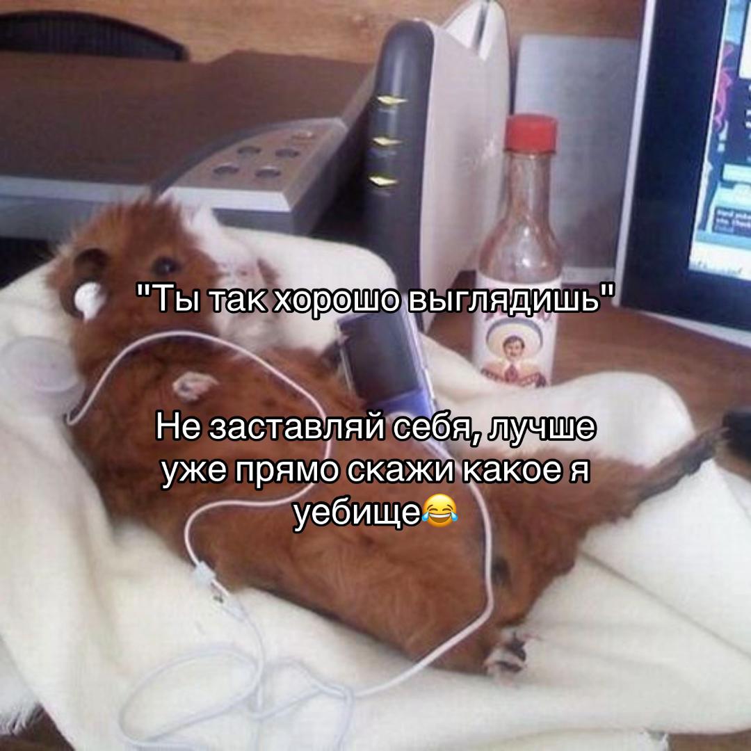 @Нытик