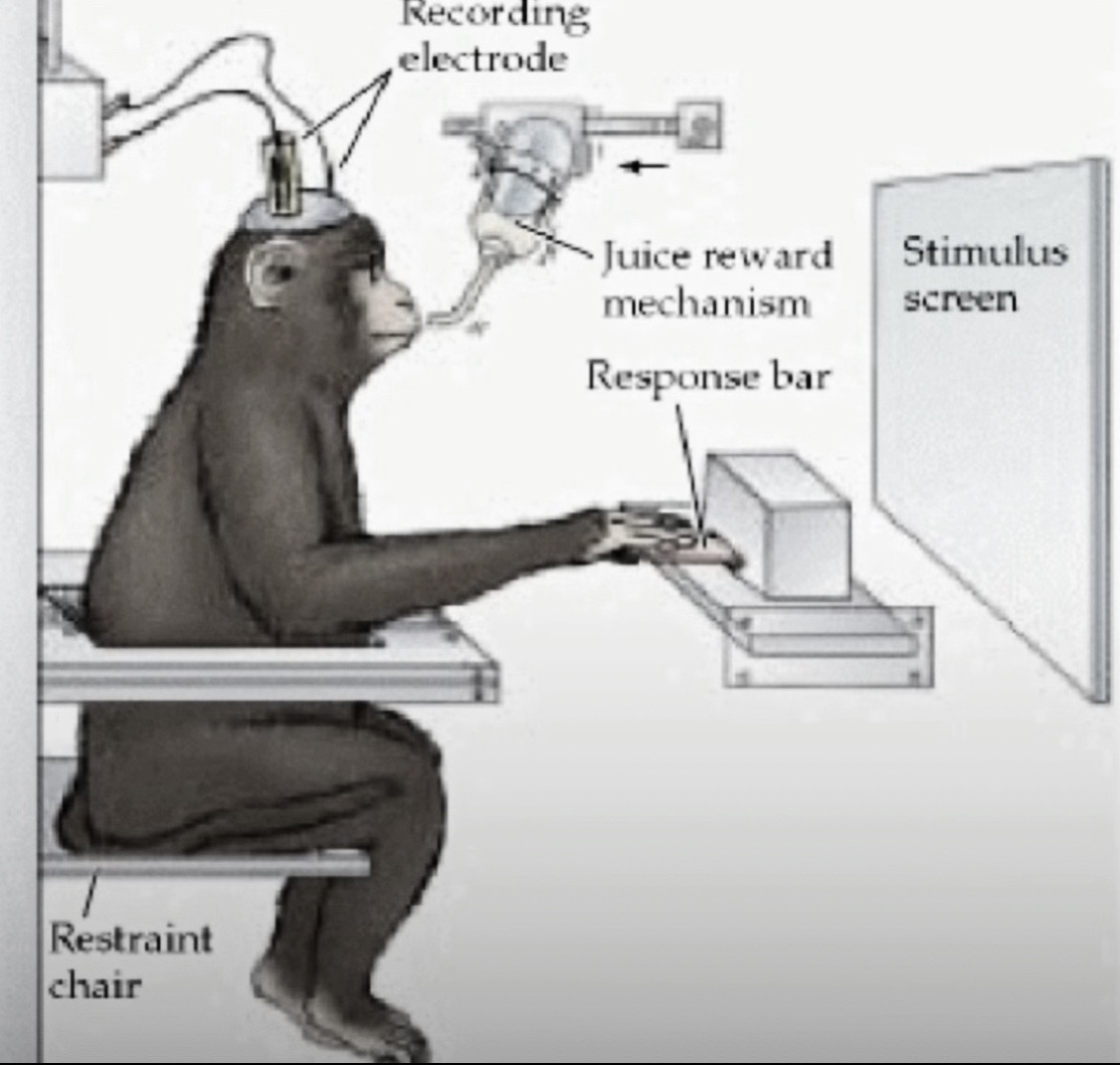 @𝐨𝐨𝐧𝐚