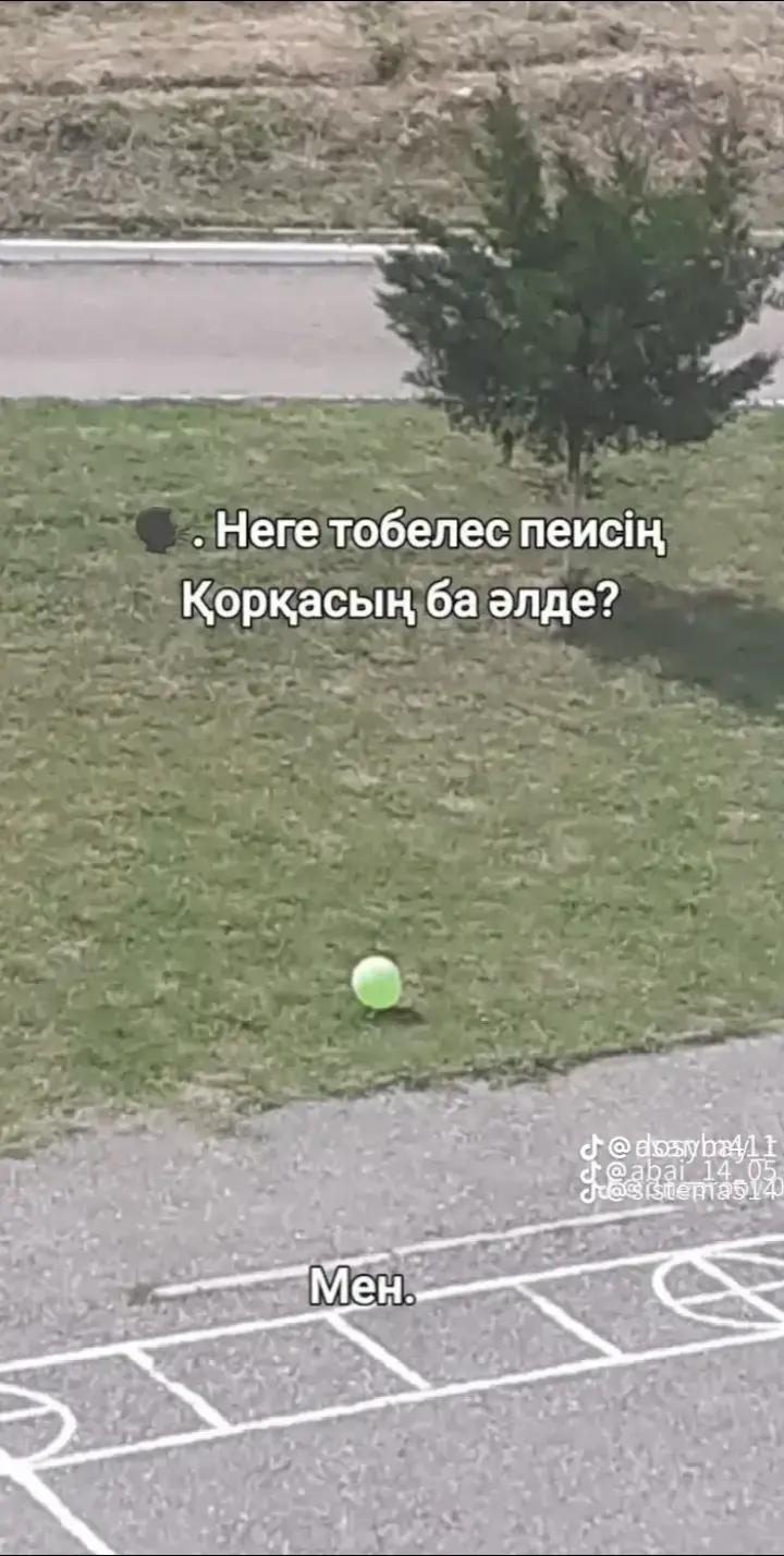 @сыныптас фан