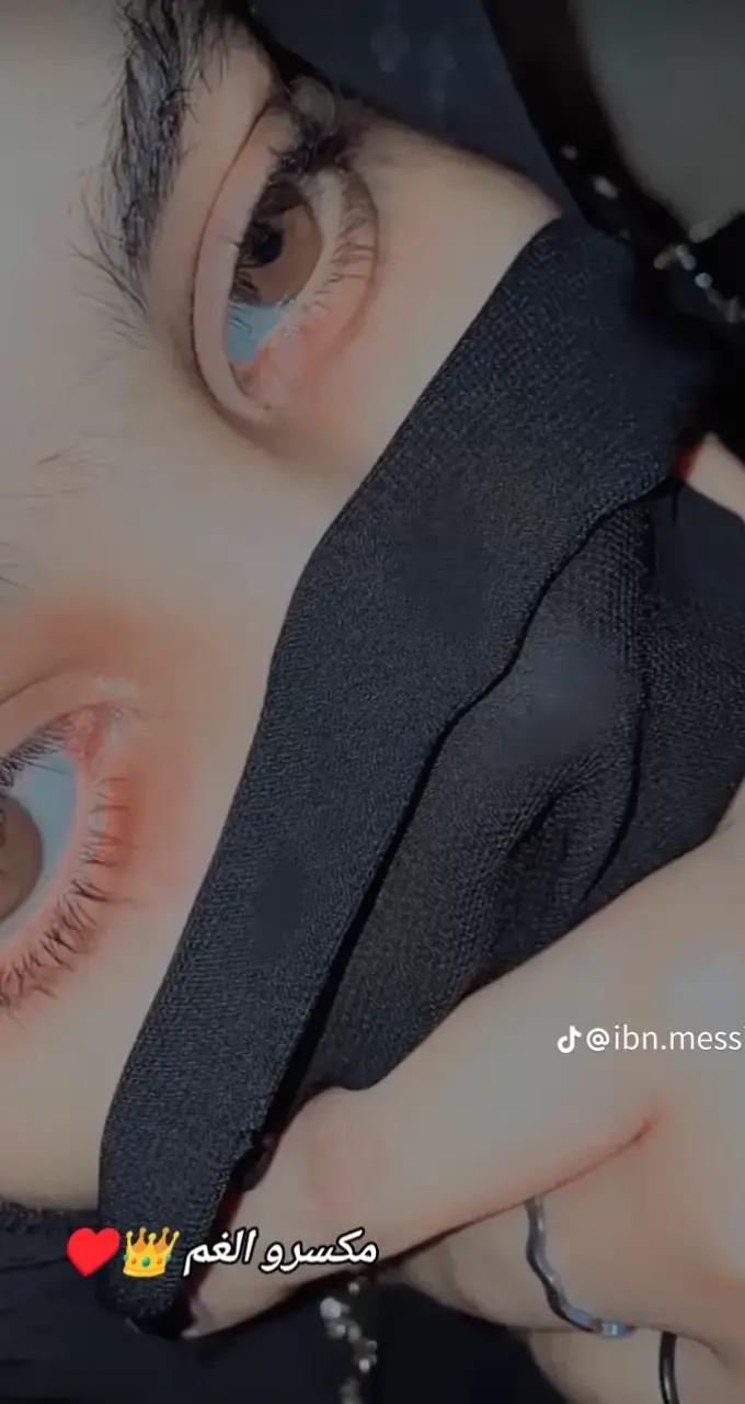 @احمد المسيري